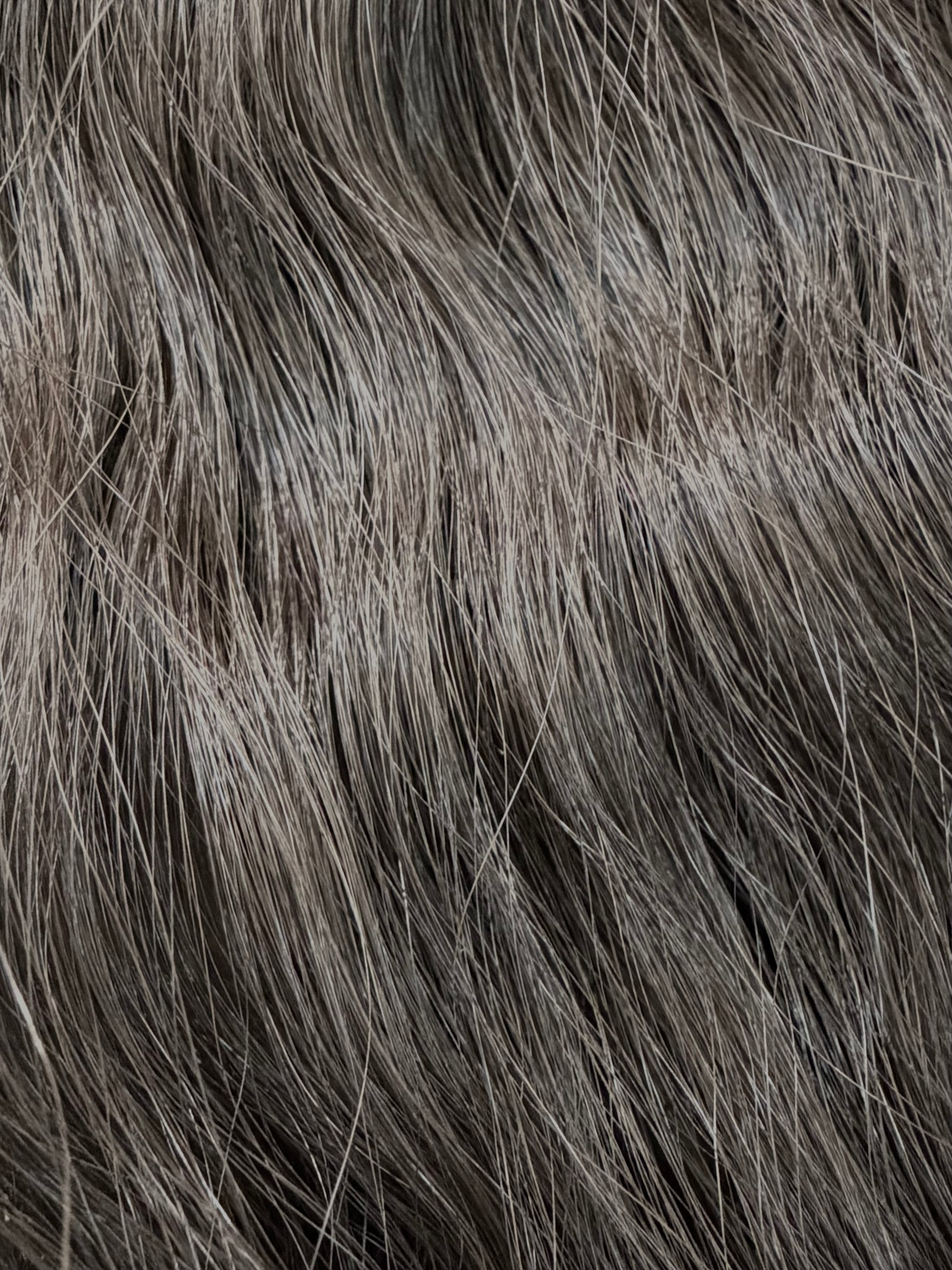 Image of Russian Hair