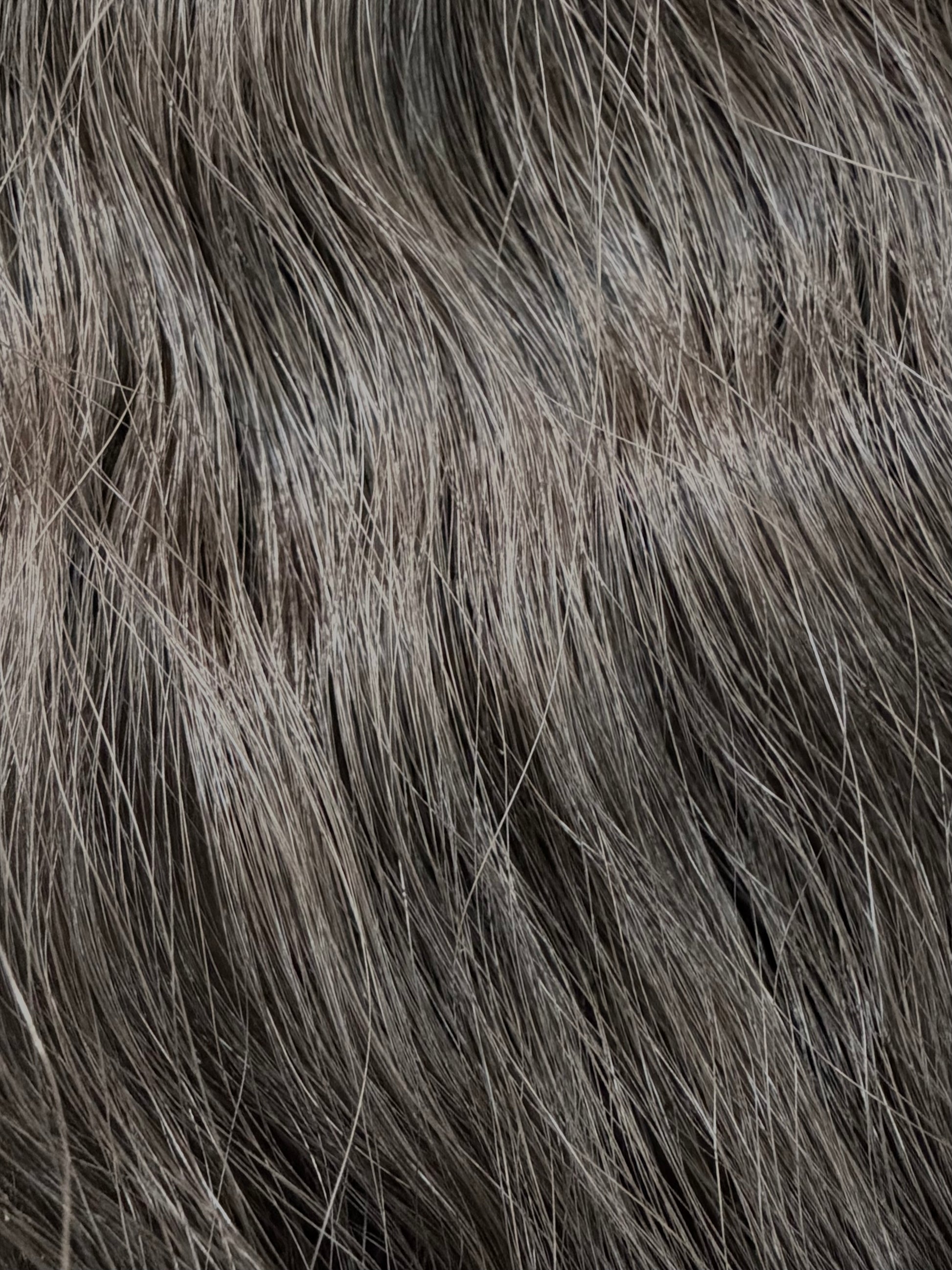 Russian Hair